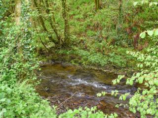 Goitre Farmhouse - Llanwrda - 1