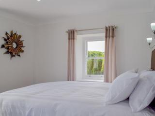 Tyn Y Coed - Bettws-Evan - 4