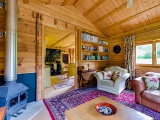 Ash Mill Cabin - Ashreigney - 9