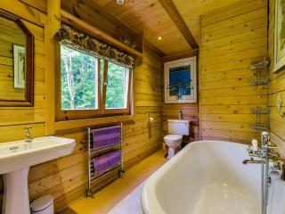 Ash Mill Cabin - Ashreigney - 4