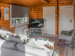 Babbling Brook Lodge - Trawsfynydd - 9