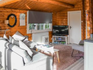 Babbling Brook Lodge - Trawsfynydd - 8