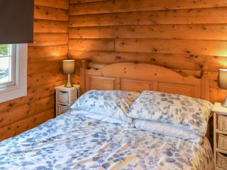 Babbling Brook Lodge - Trawsfynydd - 6