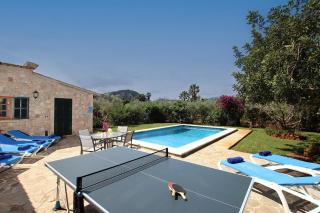 Oliveres - Pollença - 5