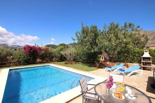 Oliveres - Pollença - 8