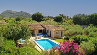 Oliveres - Pollença - 0