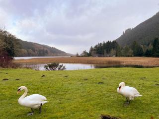 Glen View - Uk37557 - Kilfinnan - 2