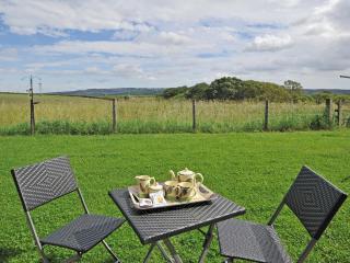 Lapwing Cottage - E5028 - Birtley - 6