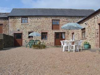Barn Owl Cottage - Cromford - 0