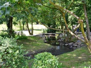 Mole - Swimbridge - 1