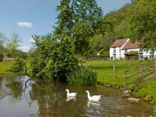Ashberry Cottage - Rievaulx - 8