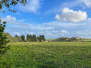 Edgecoombe - Shaftesbury - 0