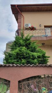 Vila Camelia - Văleni - 4
