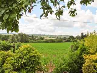 Bank Cottage - Boraston - 4