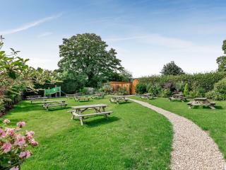 Fioled - Uk40267 - Llangadfan - 6