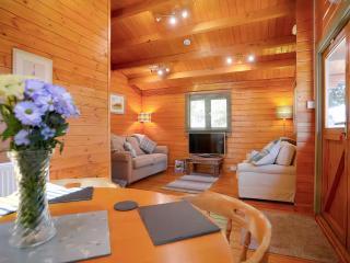 Log Cabin - Guyhirn - 6