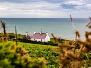 Blue - Uk43119 - Trefor - 2