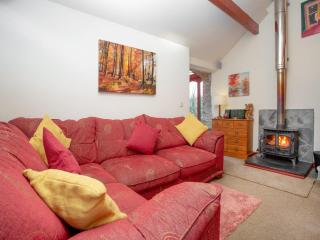 Bulls Cottage - Bodmin - 9