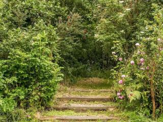 The Shippen - Hartland - 8