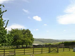 Dollys Cottage - Ovingham - 5