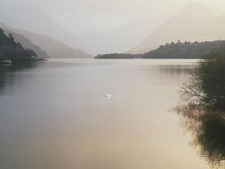 Maes Derlwyn - 9