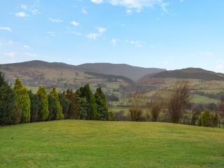 The Aran - Uk46080 - Frongoch - 7