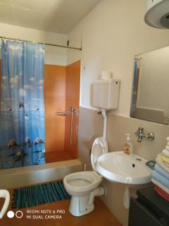 Apartments Simovic 3 bedroom - Kravlja - 6