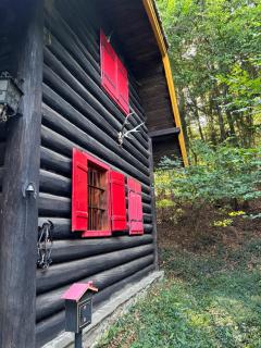 Waldpoesie - Das Wald-Cottage -  - 4