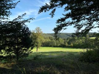 Waldpoesie - Das Wald-Cottage - - 2