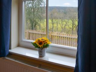 The Waiting Room - Falstone - 2