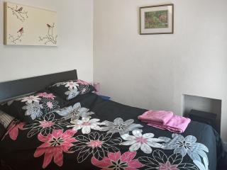 The Pink House - Coelbren - 6