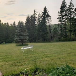 peaceful stay - Stanley Bridge - 7
