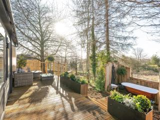 The Cosy Cabin - Clapton in Gordano - 9