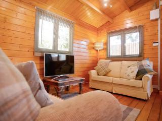 Log Cabin - Guyhirn - 8
