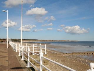 Yorkshire Rose Holiday Lodge - Sewerby - 1