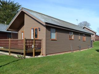Yorkshire Rose Holiday Lodge - Sewerby - 8