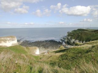 Blackbird Cottage - 25116 - Flamborough - 1