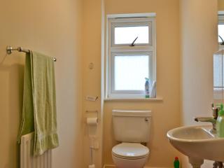 Blackbird Cottage - Llanfair Caereinion - 1