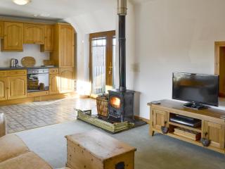 Shedend - Kingston - 9