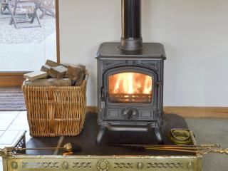 Shedend - Kingston - 7