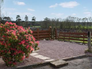 Criffel Cottage - Ruthwell - 8