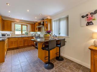 Derwen Haidd - Llanafan - 5