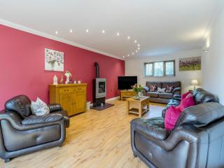 Derwen Haidd - Llanafan - 8