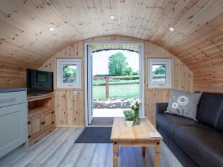 Glamping Pod 2 - Ipplepen - 8
