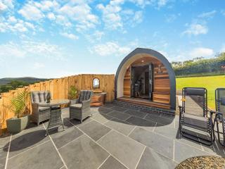 Leri - Uk46065 - Llancynfelyn - 1