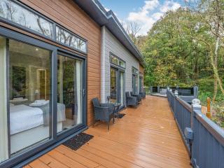 The Powys Lodge - New Quay - 8