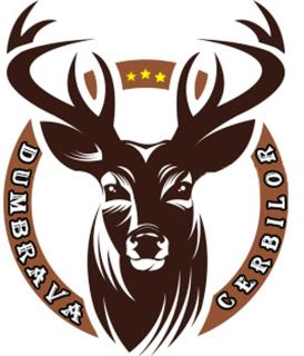 Cabana Dumbrava Cerbilor - Şaru Dornei - 1
