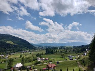 Cabana Dumbrava Cerbilor - 8