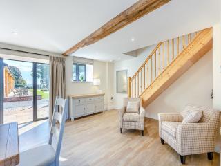 Saddle - Uk47947 - Oswestry - 7