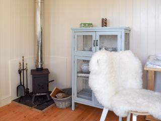 Molly The Shepherds Hut - Bampton - 7